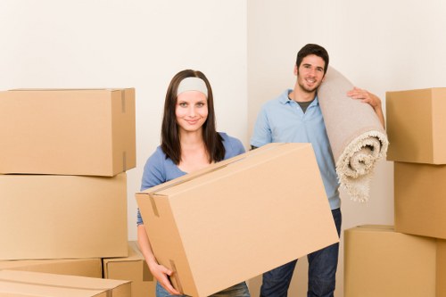 Sustainable Brixton removals with recycling and reuse emphasis